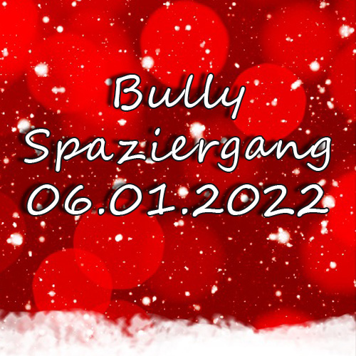 Bully-Spaziergang 06.01.2022