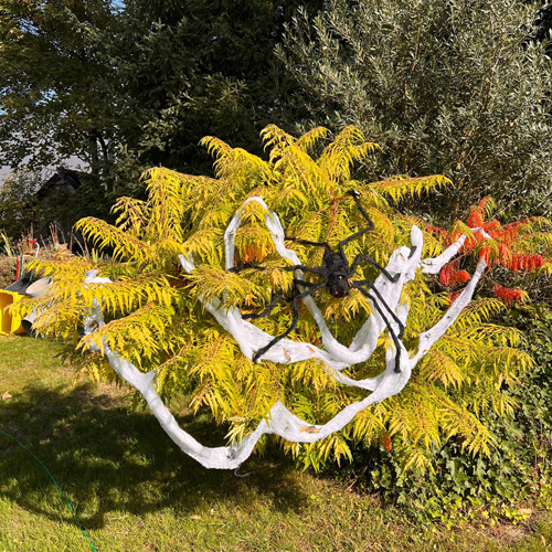 Herbstfest der LG Nord