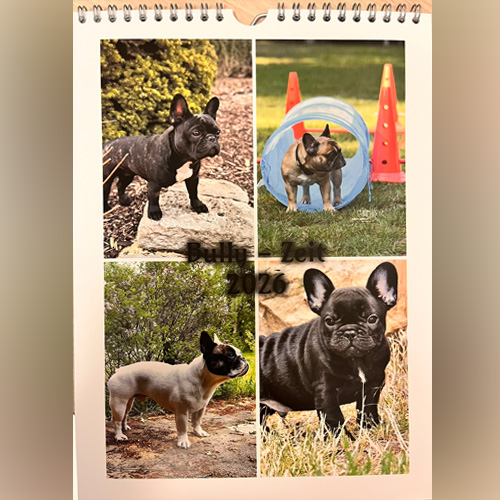 Weihnachtsfeier der LG Sd